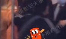 刘大锤最新爆料消息,揭秘娱乐圈最新惊天秘密！