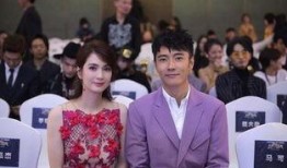 张丹峰和洪欣爆料视频,婚姻真相与情感纠葛