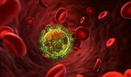 艾滋病毒最新爆料,突破性发现与防控策略