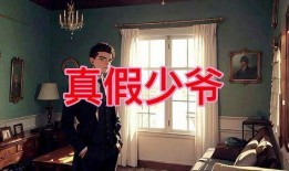 真假少爷爆料视频播放,视频播放背后的惊人真相