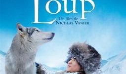 loup 在线观看,跟随Loup在线观看之旅