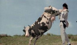 乳牛电影在线观看,在线观看，感受温馨牧歌生活