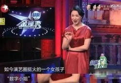 娱乐圈明星费用爆料,揭秘巨额片酬与代言费背后的真相