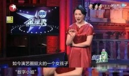 娱乐圈明星费用爆料,揭秘巨额片酬与代言费背后的真相
