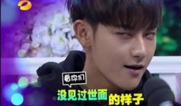 黄子韬反面爆料视频播放,揭秘背后惊人真相