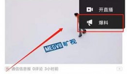 怎样做爆料视频赚钱,如何通过制作爆料视频轻松赚钱