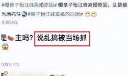 刘大锤最新爆料消息,揭秘娱乐圈最新惊天秘密！