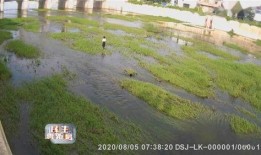 滕州小清河跳河最新爆料,揭秘真相与救援行动”