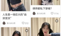 美女被律师爆料视频大全,揭秘网络传播背后的真相