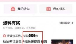 葫芦岛头条最新爆料,揭秘神秘事件背后真相！
