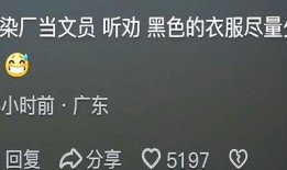 拍视频爆料给谁举报了有用吗,揭秘举报途径的有效性