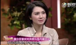 张丹峰和洪欣爆料视频,婚姻真相与情感纠葛