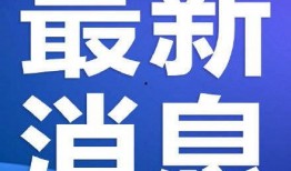 武汉极目新闻爆料,揭秘背后惊人真相