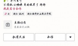 在线吃瓜网红排行榜,瓜王争霸，谁主沉浮？