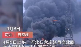 成都军工厂爆料视频曝光,揭秘神秘军事设施与先进武器研发