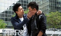 刑警兄弟在线观看,在线追凶，正义之战