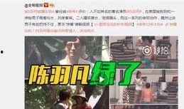 爆料杨迪博主视频大全,揭秘娱乐圈幕后故事