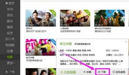 缅甸网红爆料全视频下载,独家下载解析