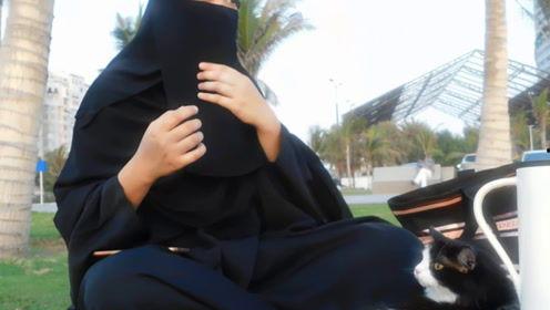 娱乐吃瓜君温婉,温婉背后的故事与真相